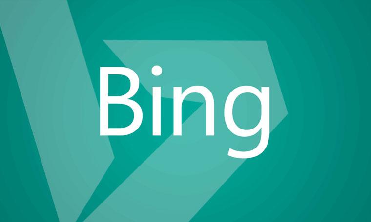 Bing Ranking Guidelines Revealed