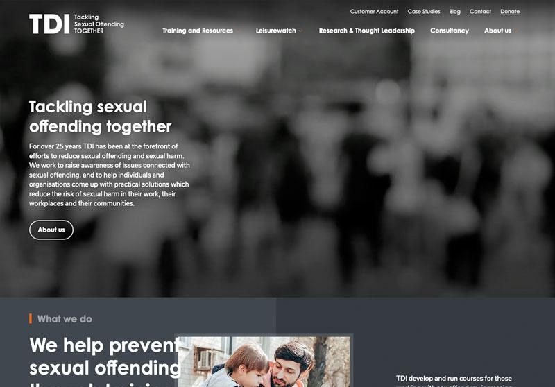 TDI: The Derwent Initiative Browser Image
